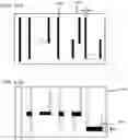 Fig. 13 - Method of manufacturing semiconductor device