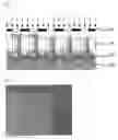 Fig. 04 - Method for forming photoresist pattern