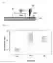 Fig. 06 - Method for forming photoresist pattern