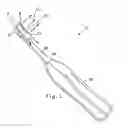Fig. 02 - Multi-function oral care device