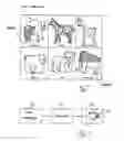 Fig. 06 - Short-vowel intrinsic-sound learning system