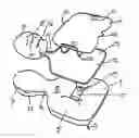 Fig. 01 - Resuscitation training manikin