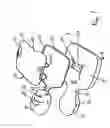 Fig. 02 - Resuscitation training manikin