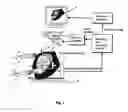 Fig. 02 - Rigid birth simulator having an interactive optical display