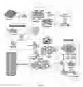 Fig. 03 - Consolidated on-line assessment system