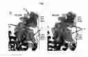 Fig. 04 - Crystal of a transporter-ligand complex and methods of use