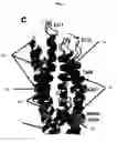 Fig. 08 - Crystal of a transporter-ligand complex and methods of use