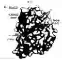 Fig. 12 - Crystal of a transporter-ligand complex and methods of use