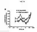 Fig. 15 - Crystal of a transporter-ligand complex and methods of use