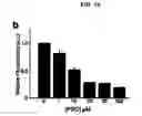 Fig. 16 - Crystal of a transporter-ligand complex and methods of use