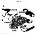 Fig. 19 - Crystal of a transporter-ligand complex and methods of use