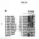 Fig. 22 - Crystal of a transporter-ligand complex and methods of use