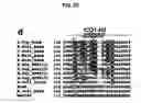 Fig. 23 - Crystal of a transporter-ligand complex and methods of use