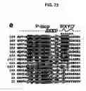 Fig. 24 - Crystal of a transporter-ligand complex and methods of use