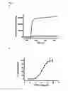 Fig. 05 - Compositions and methods for identifying modulators of TRPV2
