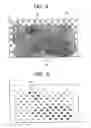 Fig. 08 - Biological tissue processing substrate for fixing proteins or protein degradation products in tissue for analysis
