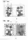 Fig. 09 - Biological tissue processing substrate for fixing proteins or protein degradation products in tissue for analysis