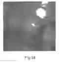 Fig. 13 - Interactive transparent individual cells biochip processor