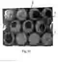 Fig. 15 - Interactive transparent individual cells biochip processor