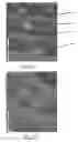 Fig. 20 - Interactive transparent individual cells biochip processor