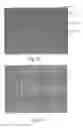 Fig. 21 - Interactive transparent individual cells biochip processor
