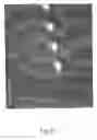 Fig. 25 - Interactive transparent individual cells biochip processor