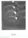 Fig. 26 - Interactive transparent individual cells biochip processor