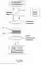 Fig. 48 - Interactive transparent individual cells biochip processor