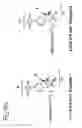 Fig. 06 - Proteolytic and covalent antibodies