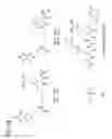 Fig. 28 - Proteolytic and covalent antibodies