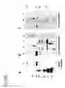 Fig. 30 - Proteolytic and covalent antibodies