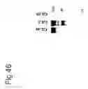 Fig. 50 - Proteolytic and covalent antibodies