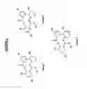 Fig. 34 - Ryanodine receptor polypeptides