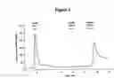Fig. 35 - Ryanodine receptor polypeptides