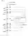 Fig. 02 - Array having substances fixed on support arranged with chromosomal order or sequence position information added thereto, process for producing the same, analytical system using the array and use of these