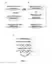 Fig. 02 - Polynucleotides capable of target-depedent circularization and topological linkage