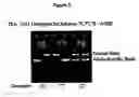 Fig. 03 - Mutation associated with strokes