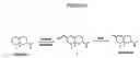 Fig. 06 - Laccases, nucleic acids encoding them and methods for making and using them