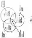 Fig. 02 - Biomarkers of cyclin-dependent kinase modulation