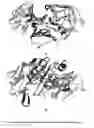 Fig. 02 - Method of identifying/designing and/or modifying chemical species capable of interacting with a physiologically active macromolecule