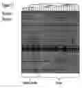 Fig. 12 - Method for the detection of schizophrenia related gene transcripts in blood
