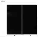 Fig. 25 - Method for the detection of schizophrenia related gene transcripts in blood