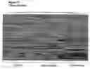 Fig. 28 - Method for the detection of schizophrenia related gene transcripts in blood