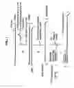 Fig. 02 - Methods and kits for nucleic acid amplification