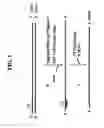 Fig. 04 - Methods and kits for nucleic acid amplification