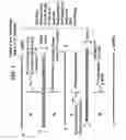 Fig. 05 - Methods and kits for nucleic acid amplification