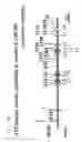 Fig. 231 - Detection of genetic polymorphisms