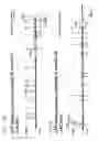 Fig. 232 - Detection of genetic polymorphisms