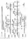 Fig. 239 - Detection of genetic polymorphisms