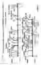 Fig. 241 - Detection of genetic polymorphisms